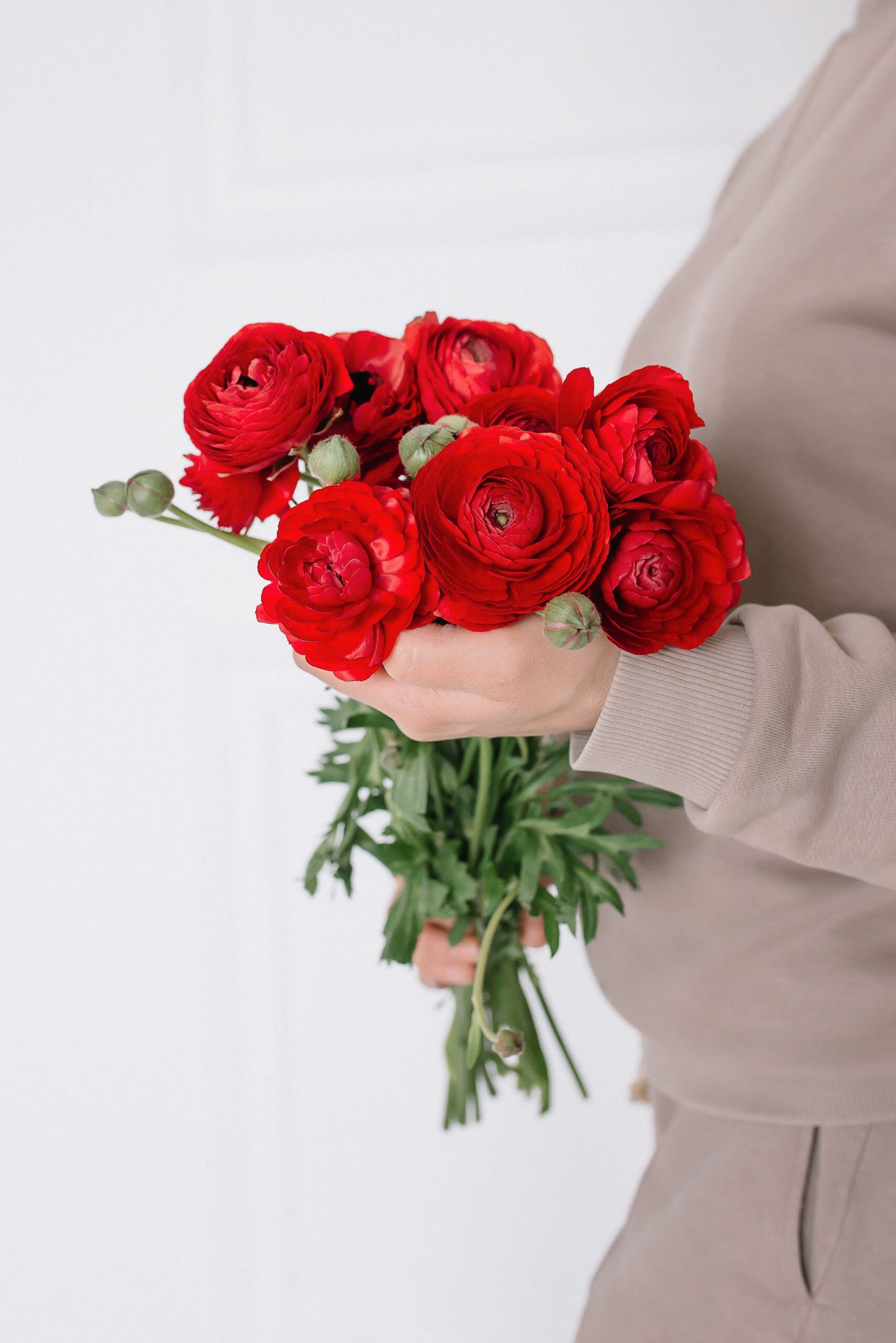 Top 9 des meilleures fleurs à offrir à la saint-valentin